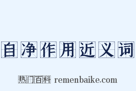 自净作用近义词是什么意思的图片